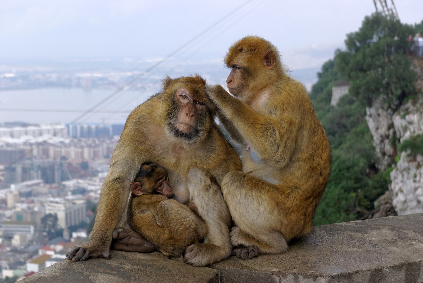 Gibraltar