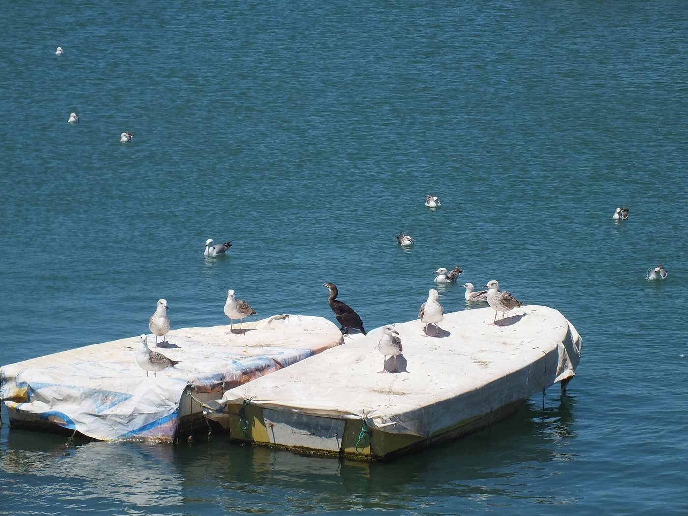 Quarteira